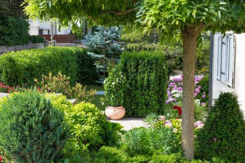 Apartment Punat
