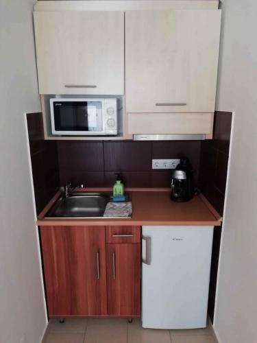 Apartments In Siofok/balaton 38128