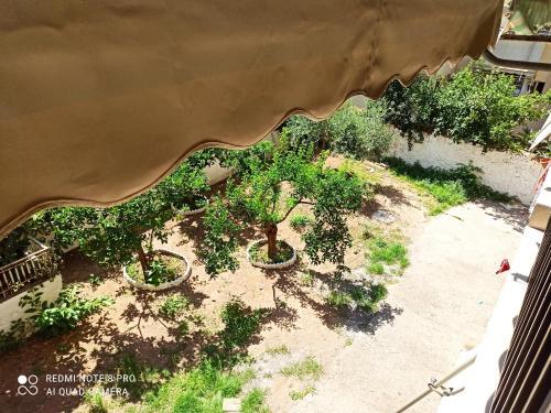 Bed & Breakfast Lavender2
