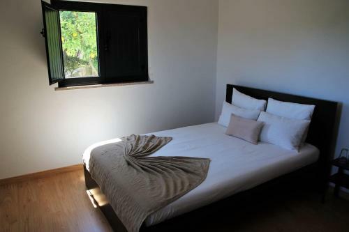 Quinta Jr - Casa De Campo