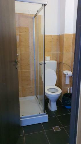 Hostal Pensiunea Patricia, V�rful Lui Roman