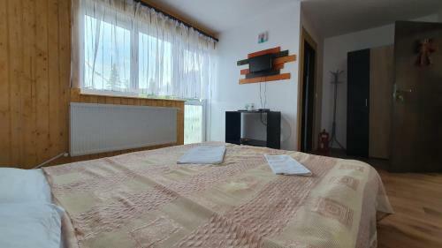 Hostal Pensiunea Patricia, V�rful Lui Roman