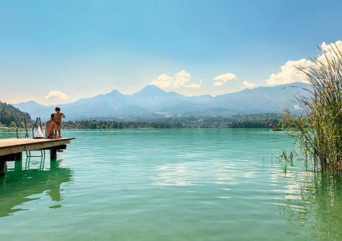 Alpe Adria Apartments - Top 11