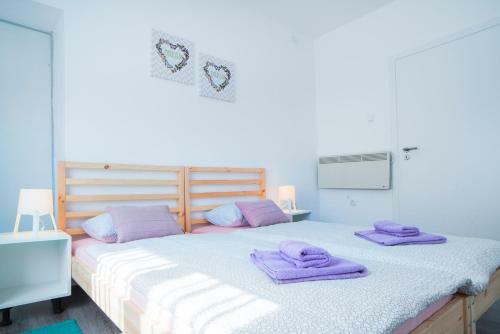 Apartman Vi?nja