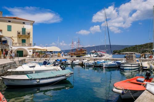Apartments Valun