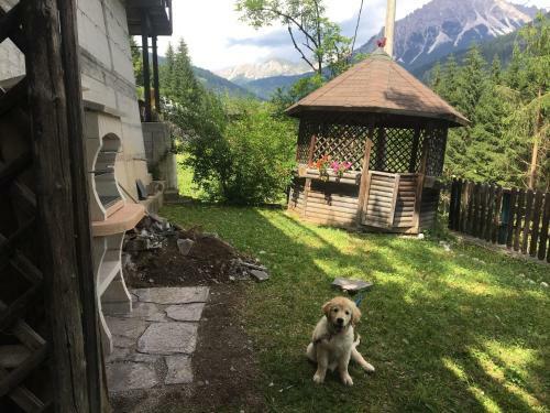Hostal Camera Monte Pitturina