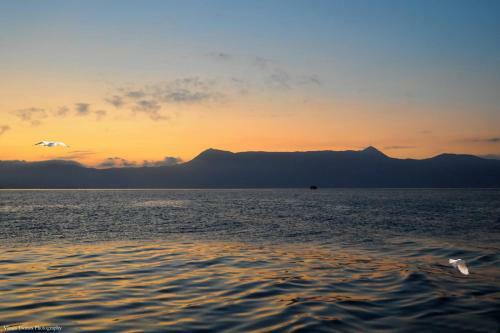 Ostria Corfu Old Town Apartment
