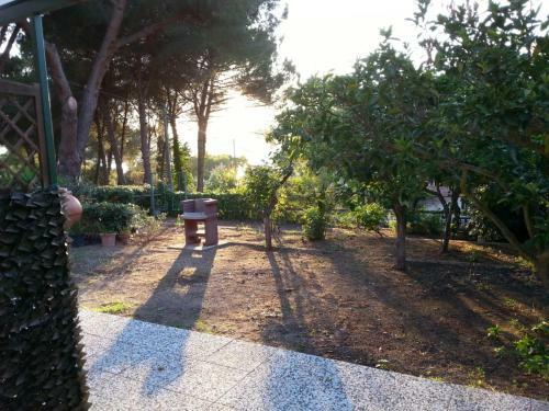 Chiara&simone Apartments