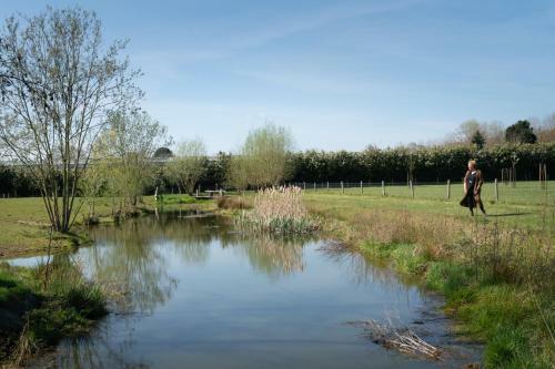 Bed & Breakfast Hoeve De Mertel