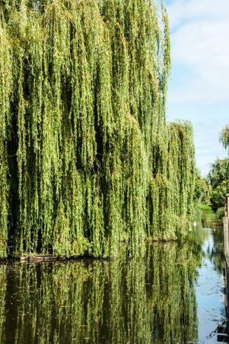 Apartamento Staywell Amsterdam