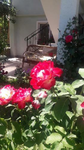 Agroturismo Casa Maria Retezat
