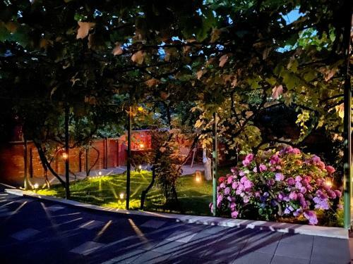 Hostal Holiday Home Esku