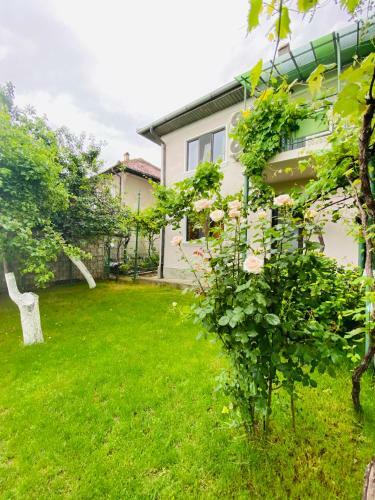 Hostal Holiday Home Esku