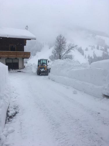 Ferienhaus Almh�tte Gut M�hlreit