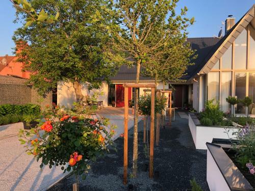 Hostal D�le - Jen Tak Si ?�t ...