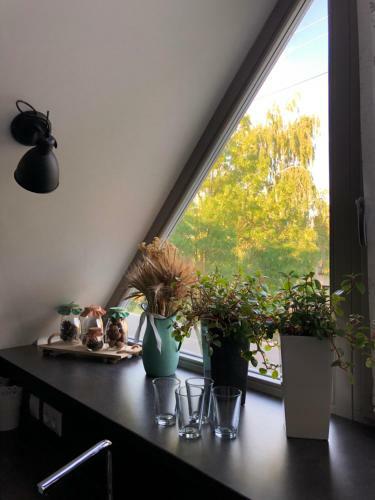 Hostal D�le - Jen Tak Si ?�t ...
