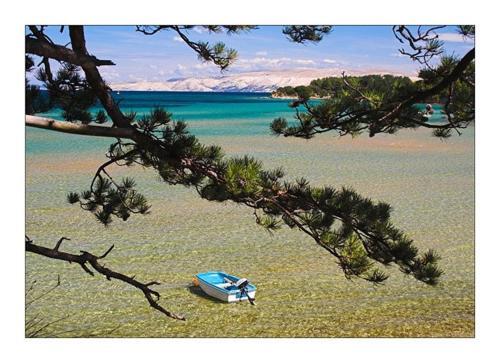 Apartment In Palit/insel Rab 17827