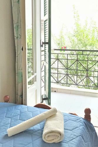 Marias' Quiet Apartment, Walk To Lefkada Town