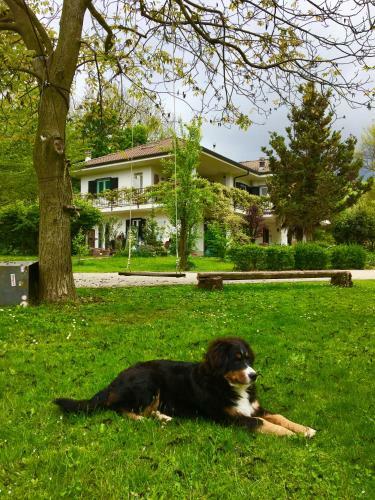 B&B La Libellula