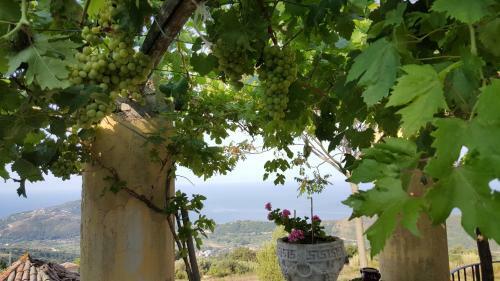 Bed & Breakfast Antico Maniero Palinuro