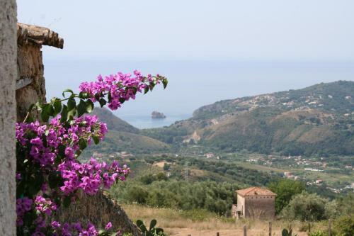 Bed & Breakfast Antico Maniero Palinuro
