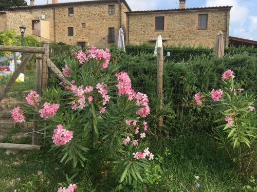 Apartamento Casa Antonio, Chianni