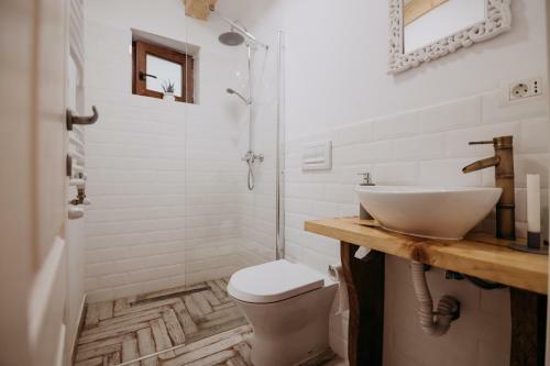 Hostal Casa De Sub Munte