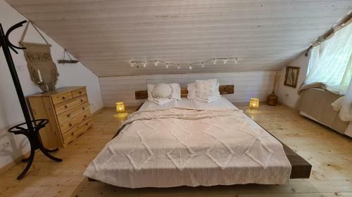 Hostal Casa De Sub Munte