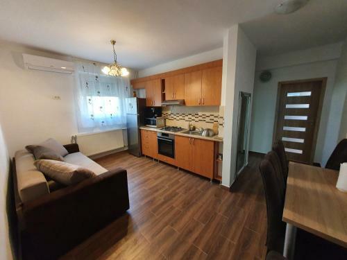 Apartament Andrei Baile Felix