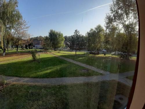 Apartament Andrei Baile Felix