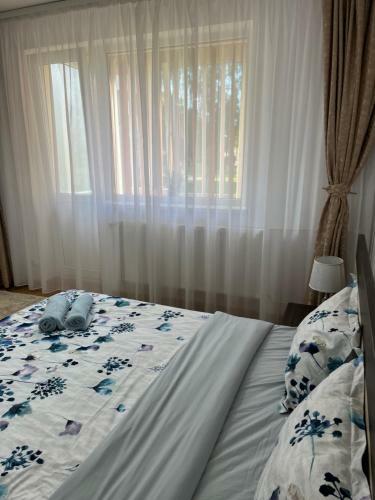 Apartament Andrei Baile Felix