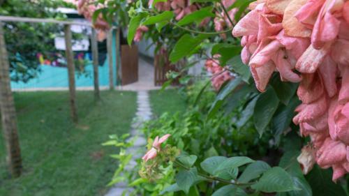 Chal�s Das Cores