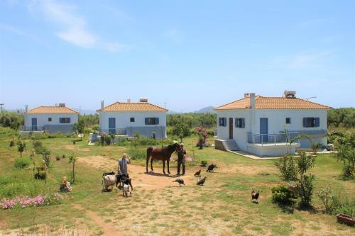 Agroturismo Stamna Farm