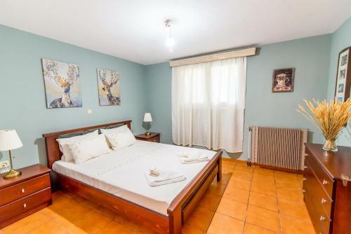 Pine Trees Apartment