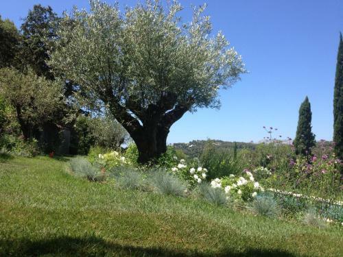 Bed & Breakfast Le Mas Du Perthus