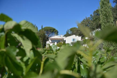 Bed & Breakfast Le Mas Du Perthus