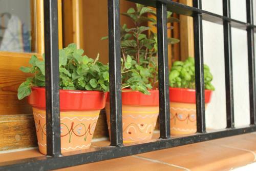 Apartamento Casa De Amanda In Frigiliana