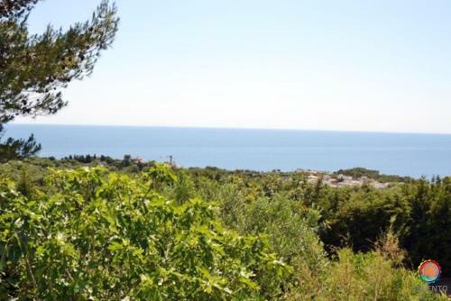 Wonderful Seaview Villa Azzurra