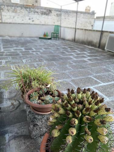 Apartamento Li Beddhrizzi House