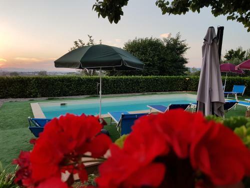 Agroturismo Il Poggio Stellato