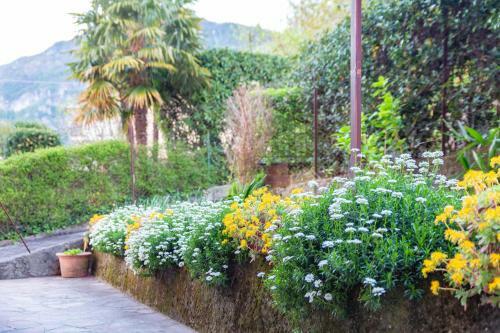 Apartamento Casa Alice (between Lake And Mountain)