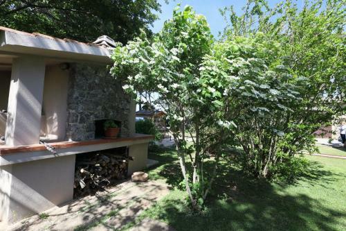 Apartamento Agriturismo Podere Pizzicagallo