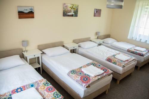 Bed & Breakfast Willa Boconek - Zator Przecisz�w
