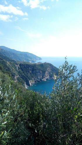 Apartamento Agriturismo Terre Verae