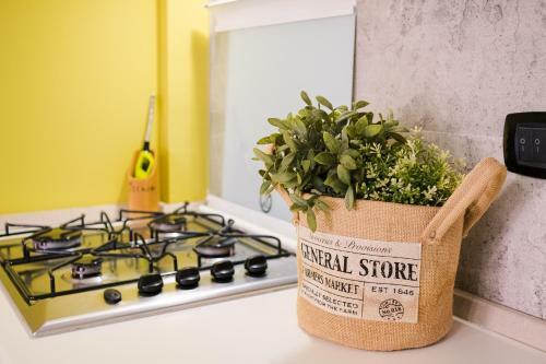 Apartamento Modern House