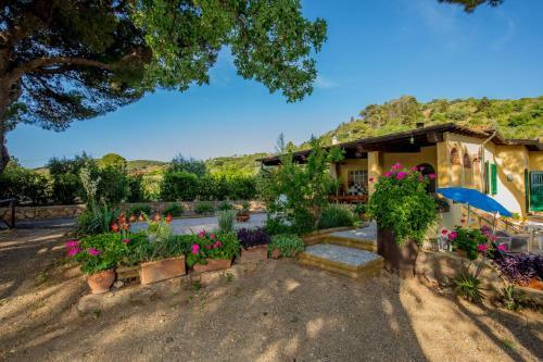 Mediterranean Villa