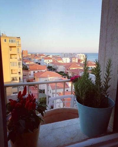 Apartamento Suite Blumare