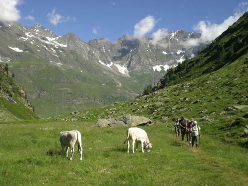 Hostal Pension Brunhild