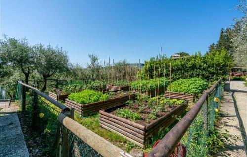Villa Barbarella