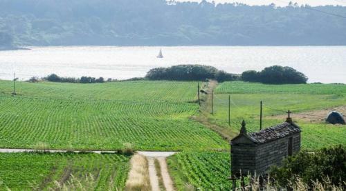 Casa Da Xesteira-merexo-mux�a-costa Da Morte
